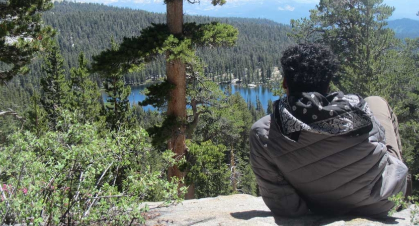 A person sits on a rock, looking out over evergreen trees toward a blue body of water. 